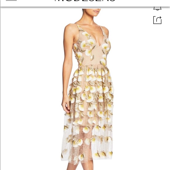 Dress the Population Dresses & Skirts - Dress the Population ❤️BETSEY Midi dress